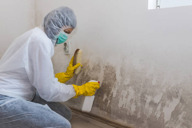 Best Mold Remediation  in Canadian, TX