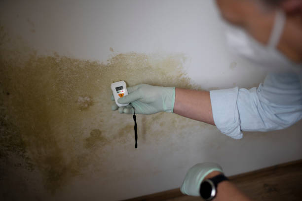 Best Home Mold Removal  in Canadian, TX