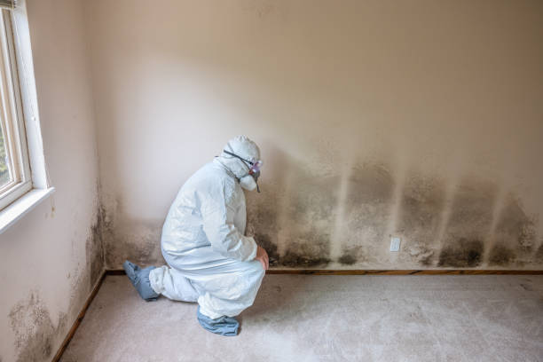 Best Professional Mold Removal  in Canadian, TX