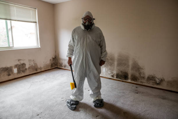 Home Mold Removal in Canadian, TX